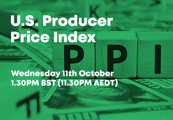 Decoding Economic Trends: A Deep Dive into the Producer Price Index 